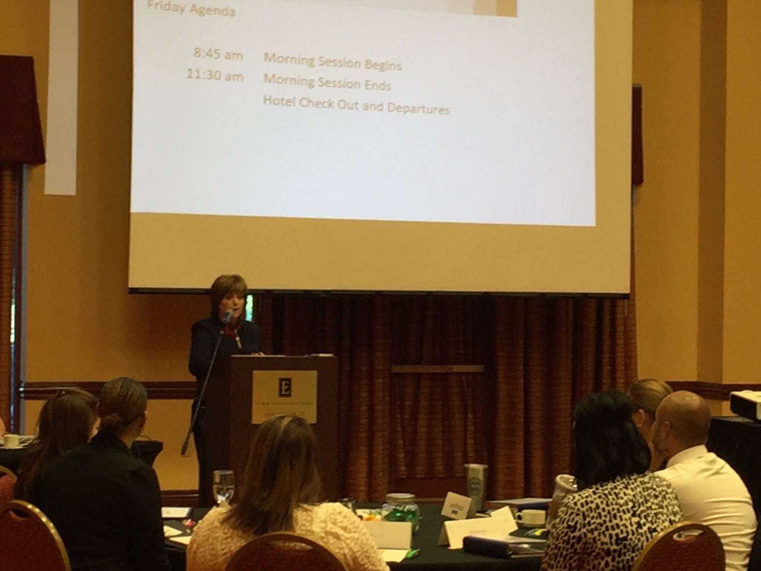 Susan speaking at a conference.